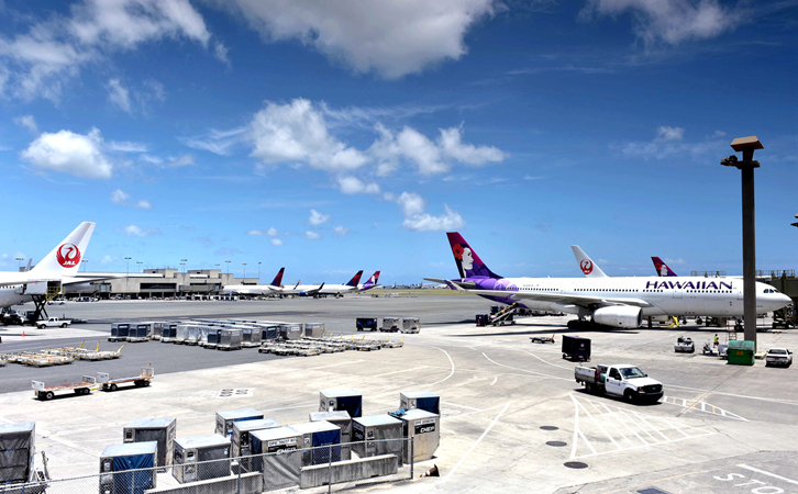 白云始发浦东机场航空快递