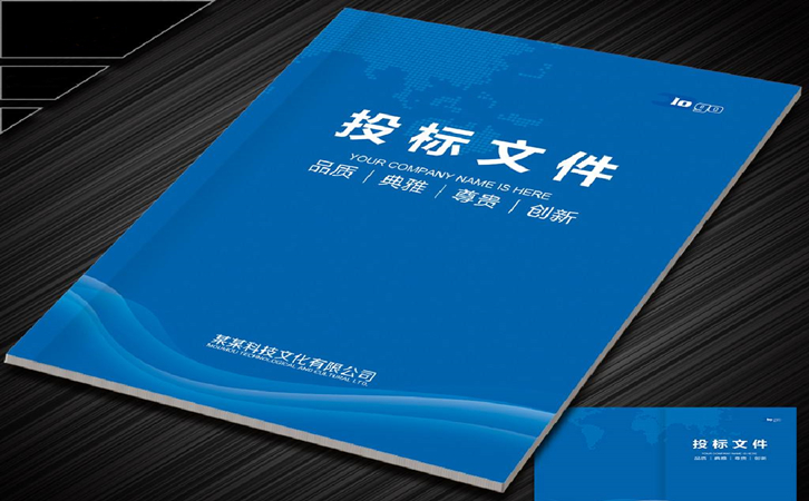 白云文件标书空运